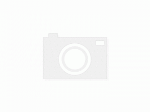 탄노이 스털링 TWW 스피커