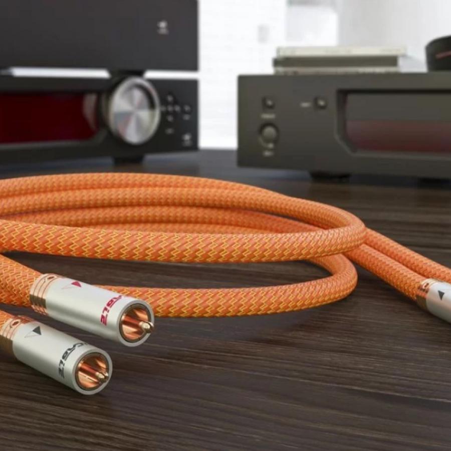 리케이블 디달루스 시그널 Dedalus Signal RCA 케이블 1M